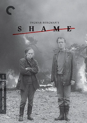 Shame [Criterion Collection] [DVD] [1968]