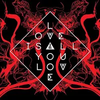 Love Is All You Love [LP] - VINYL