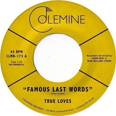 Famous Last Words [7 inch Vinyl Disc]