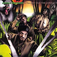 Straight Out the Jungle [LP] - VINYL