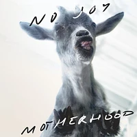 Motherhood [LP] - VINYL