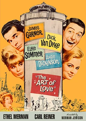 The Art of Love [DVD] [1965]