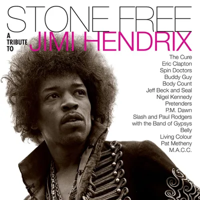 Stone Free: A Tribute to Jimi Hendrix [LP] - VINYL