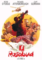 Rosebud [DVD] [1975]