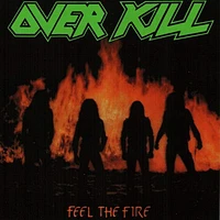 Feel the Fire [LP] - VINYL