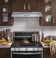 GE Profile - 30" Convertible Range Hood