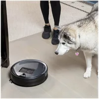 bObsweep - Bob PetHair Plus Robot Vacuum and Mop - Charcoal
