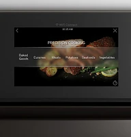 GE Profile - 30" Smart Built-In Double Electric Convection Wall Oven with Air Fry & Precision Cooking