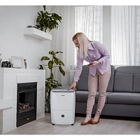 Whirlpool - Pint Dehumidifier