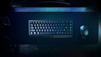Razer - BlackWidow V3 Mini Hyperspeed 65% Wireless Mechanical Clicky Tactile Switch Gaming Keyboard with Chroma RGB Backlighting - Black