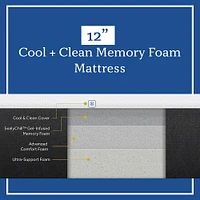 Sealy - COOL & CLEAN 12" MEMORY FOAM
