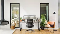 Steelcase - Leap Office Chair