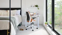 Steelcase - Series 2 3D Airback Chair with Seagull Frame