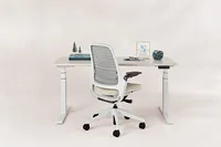 Steelcase - Series 1 Chair with Seagull Frame