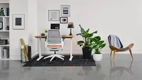 Steelcase - Series 1 Chair with Seagull Frame