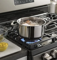 GE - 5.0 Cu. Ft. Self-Cleaning Freestanding Gas Range