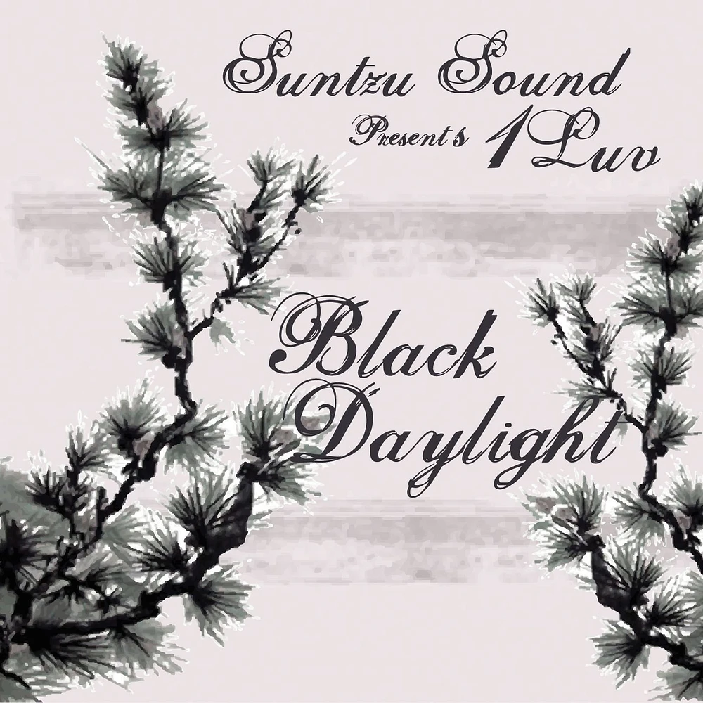 Black Daylight [12 inch Vinyl Single]