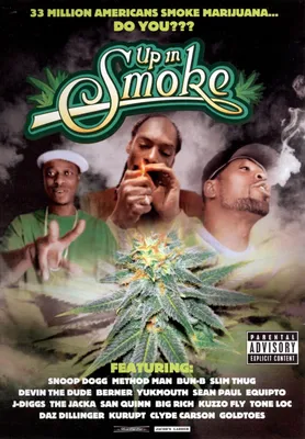 Up in Smoke [DVD]