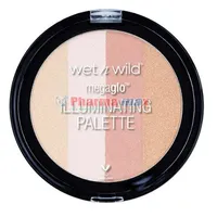 Wet n Wild MegaGlo Illuminating Palette Catwalk Pink 320