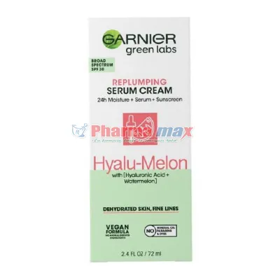 Garnier Green Labs Hyalu-Melon Serum Cream 2.4oz