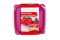 Haixin Food Containers & Lids 2pcs .7L