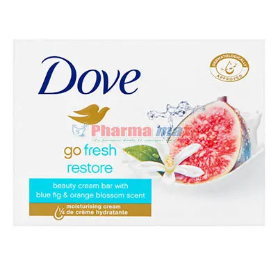 Dove Soap Go Fresh 100g