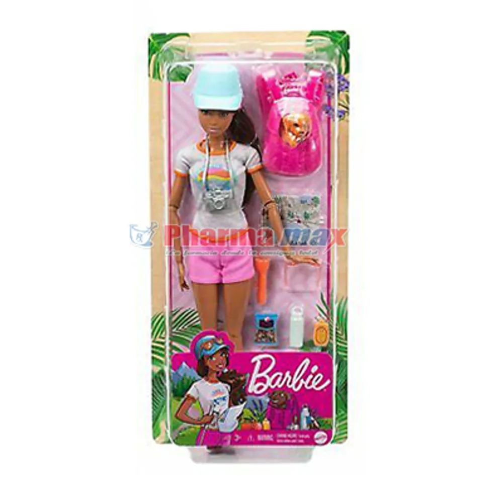 Barbie Dream Work At Home