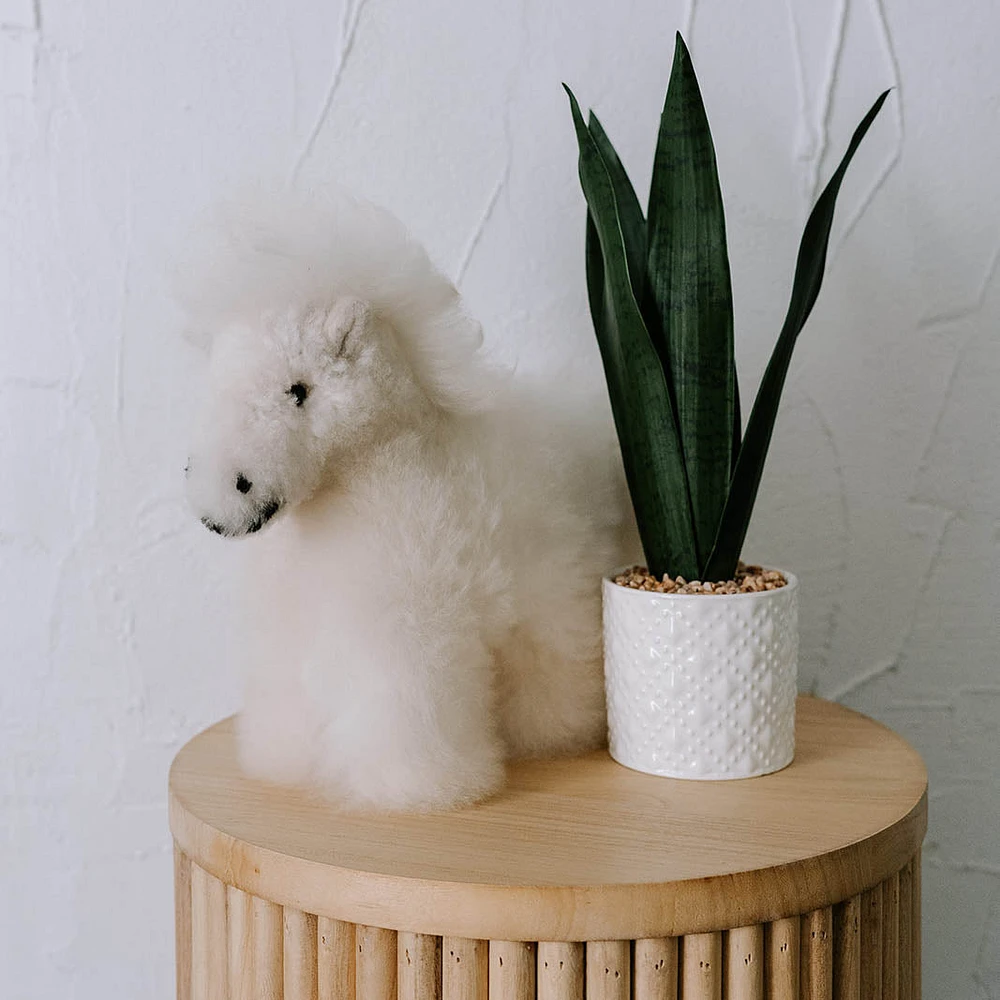 Alpaca Fur Horse