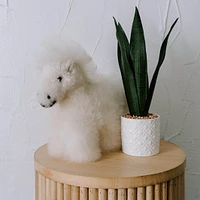 Alpaca Fur Horse