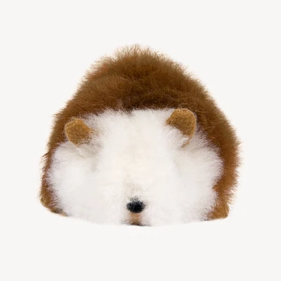 Alpaca Fur Guinea Pig