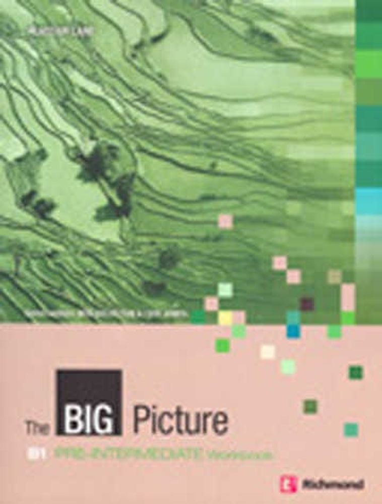 The Big Picture B1 Pre Intermediate Workbook + CD