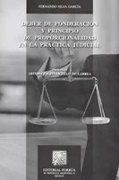 Deber de ponderación y principio de proporcionalidad en la práctica judicial