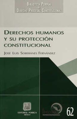 Derechos Humanos y su protección constitucional