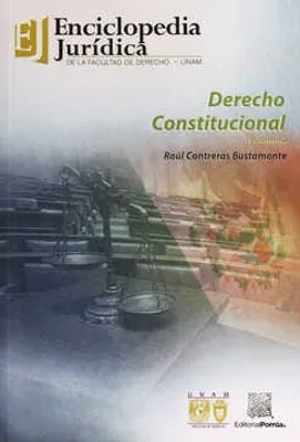 Derecho constitucional Volumen