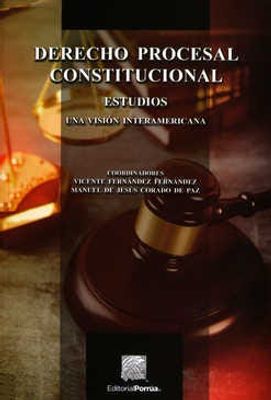 Derecho procesal constitucional: Estudios