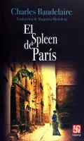 El spleen de París