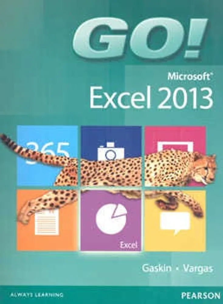 GO MICROSOFT EXCEL 2013