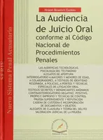 La Audiencia de Juicio Oral