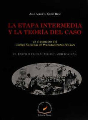 La etapa intermedia y la teoría del caso