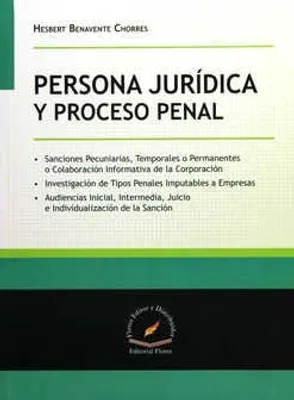 Persona jurídica y proceso penal