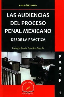 Las audiencias del proceso penal mexicano desde la práctica Parte 1