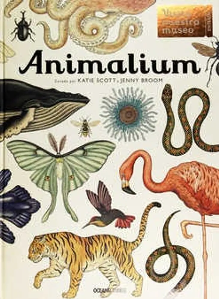 Animalium