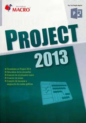 Project 2013