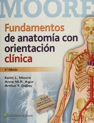 Moore : Fundamentos de anatomía con orientación clínica