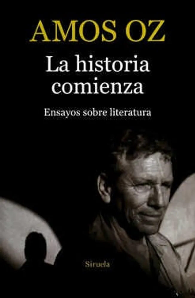 La historia comienza: ensayos sobre literatura