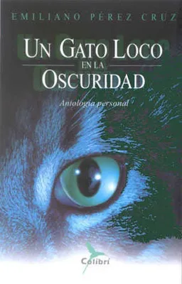 Un gato loco en la oscuridad