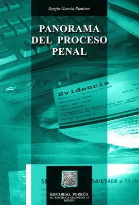 Panorama del proceso penal