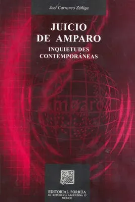 Juicio de amparo: inquietudes contemporáneas