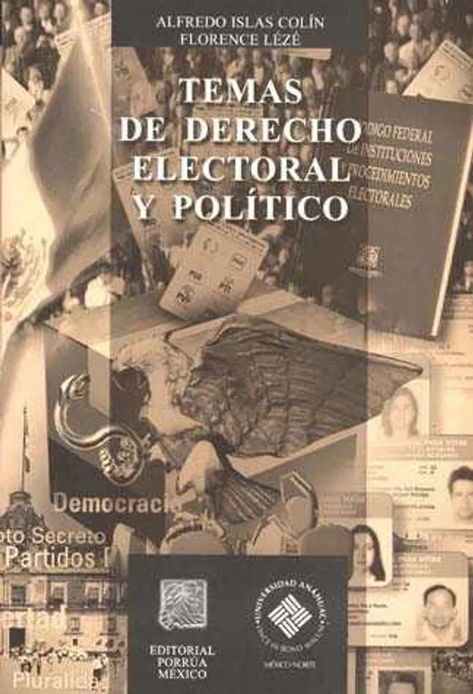 Temas de derecho electoral y político