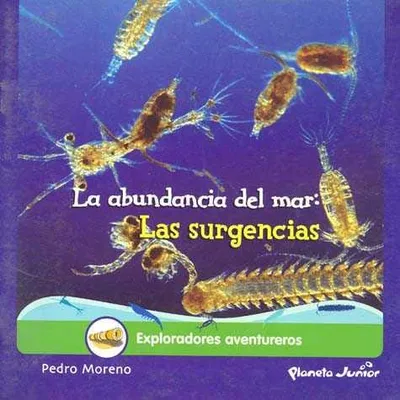 La abundancia del mar: Las sugerencias